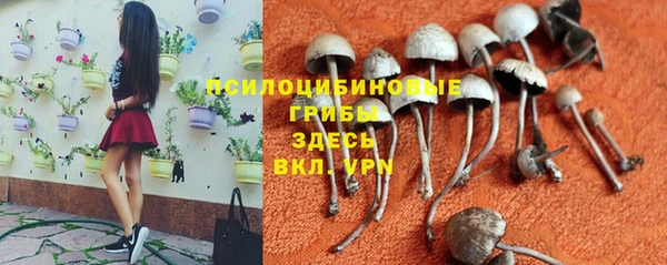 герыч Коряжма